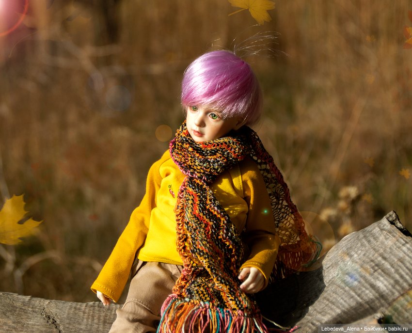 Мия. Дети осени — Куклы Dollshe Craft (Доллше): BJD (БЖД)