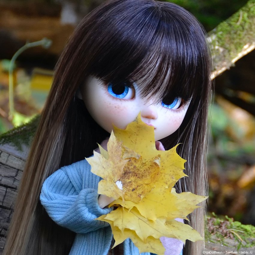 Последние теплые деньки, или кукла на дереве. Пуллип (фото 3)