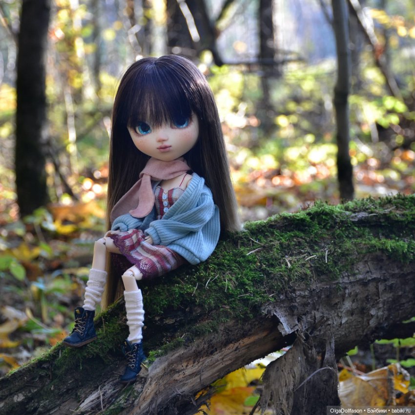 Последние теплые деньки, или кукла на дереве. Пуллип