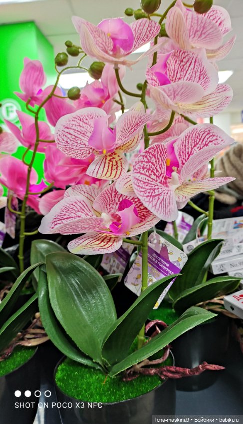 Игрушечные магазины и Фикс- Прайсы (фото 6)