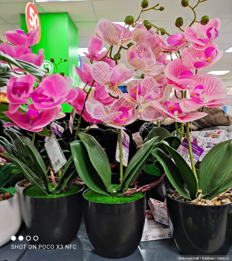 Игрушечные магазины и Фикс- Прайсы (фото 5)