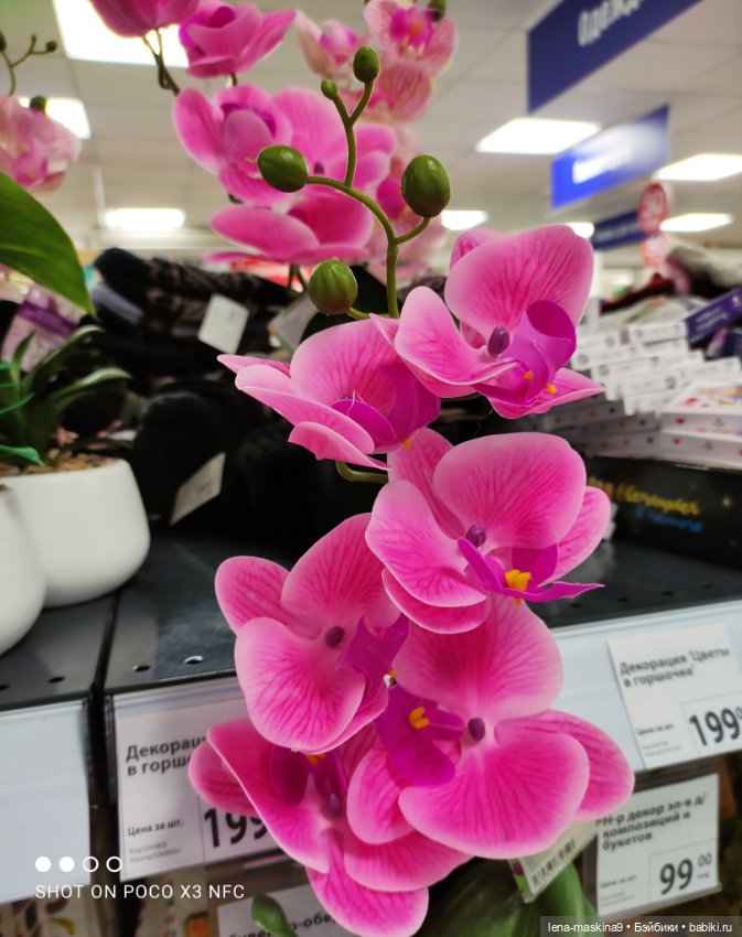 Игрушечные магазины и Фикс- Прайсы (фото 2)