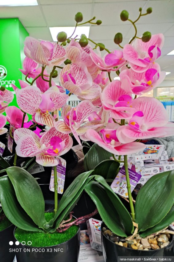 Игрушечные магазины и Фикс- Прайсы (фото 4)