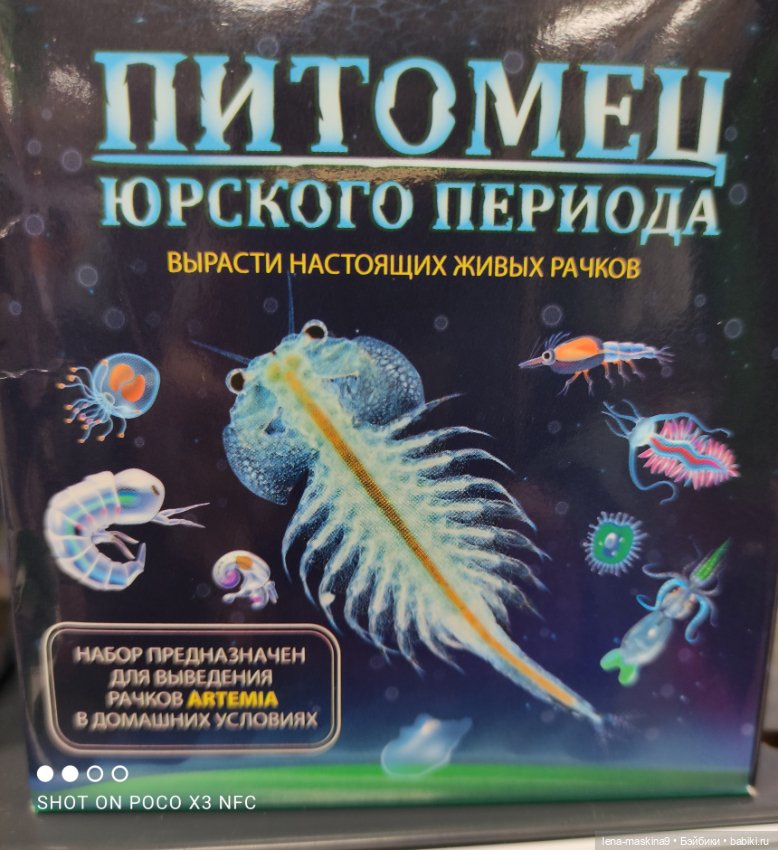 Игрушечные магазины и Фикс- Прайсы