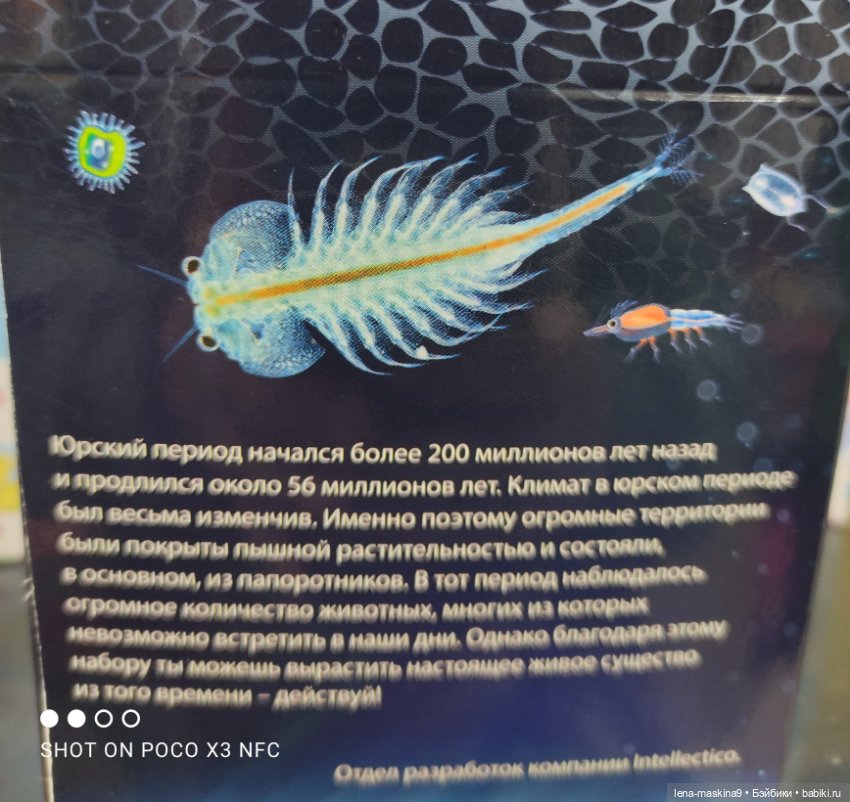 Игрушечные магазины и Фикс- Прайсы