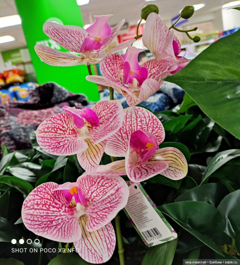 Игрушечные магазины и Фикс- Прайсы (фото 3)