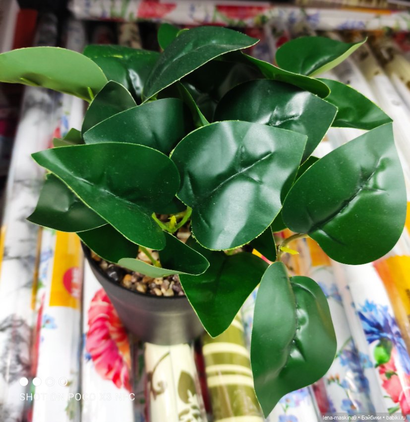 Игрушечные магазины и Фикс- Прайсы