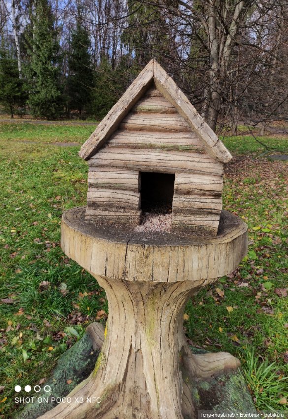 Ксения, парк, лебеди, осень