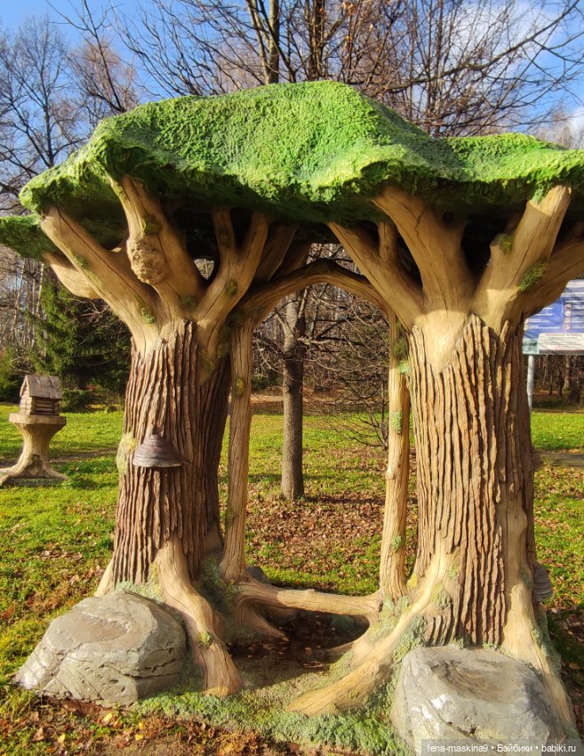 Ксения, парк, лебеди, осень