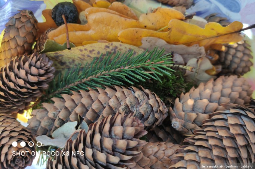 Ксения, парк, лебеди, осень