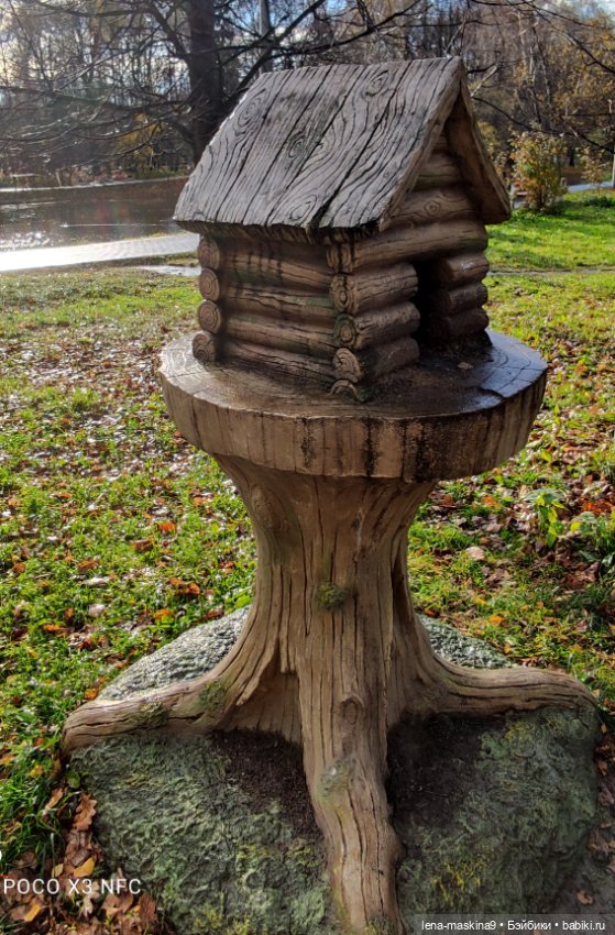 Ксения, парк, лебеди, осень