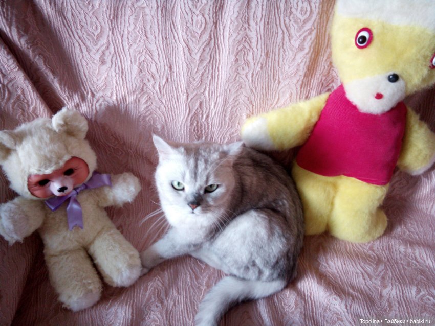 Пряник, Бублик, Пирожок — Игрушки СССР и советского детства: резиновые (фото 5)