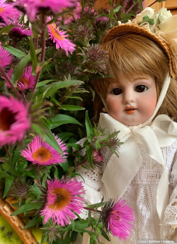 Наконец-то готов дом для Минервы