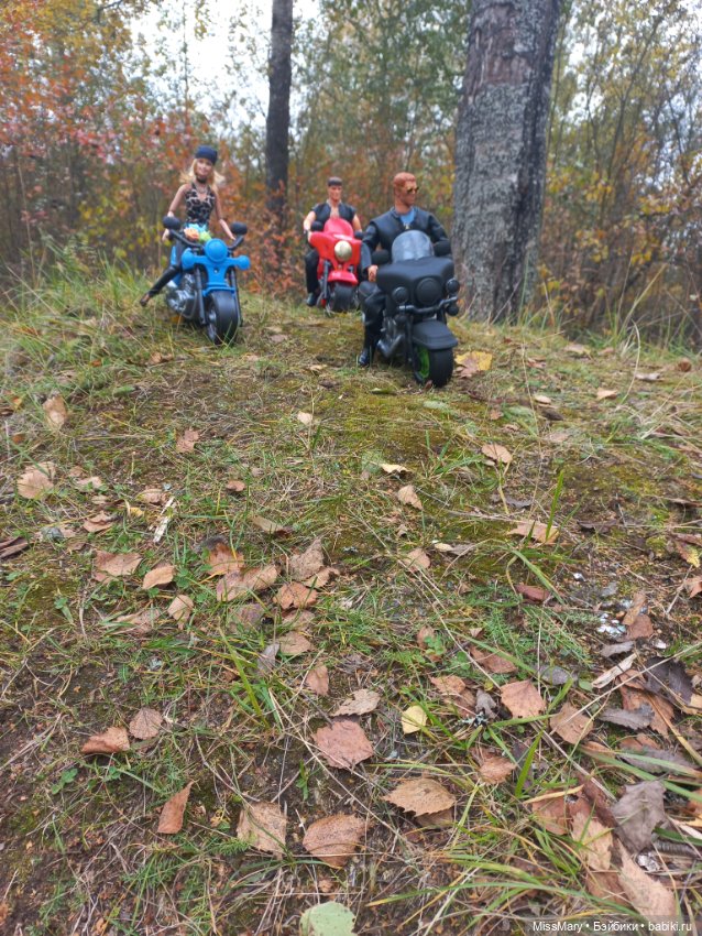 Байкеры — Разные шарнирные куклы (не БЖД): редкие