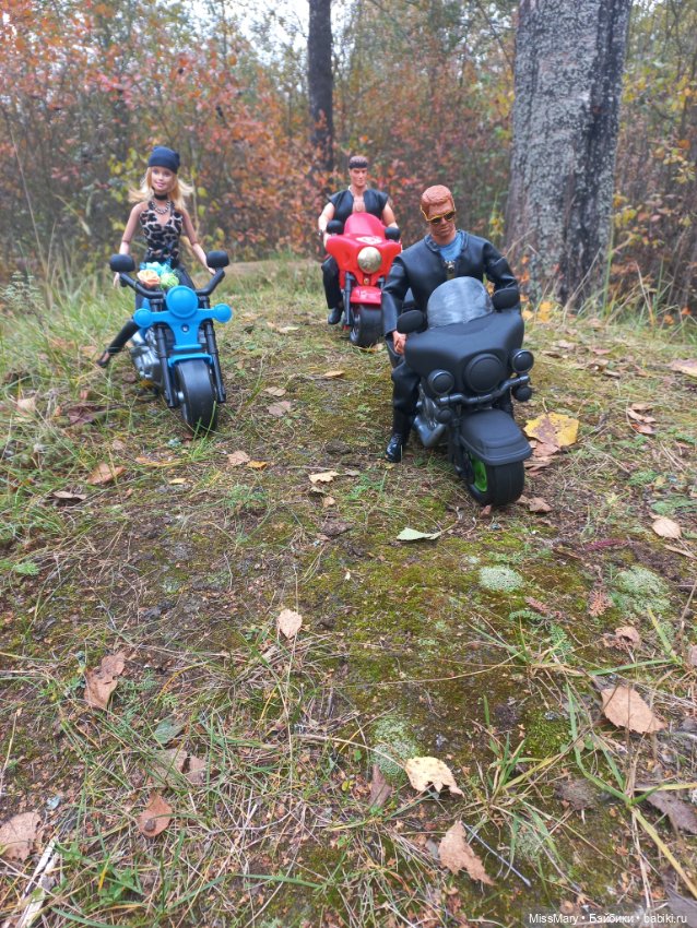 Байкеры — Разные шарнирные куклы (не БЖД): редкие