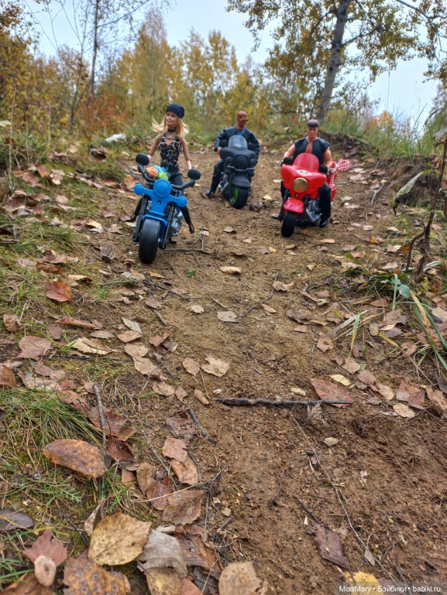 Байкеры — Разные шарнирные куклы (не БЖД): редкие