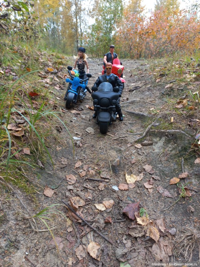 Байкеры — Разные шарнирные куклы (не БЖД): редкие