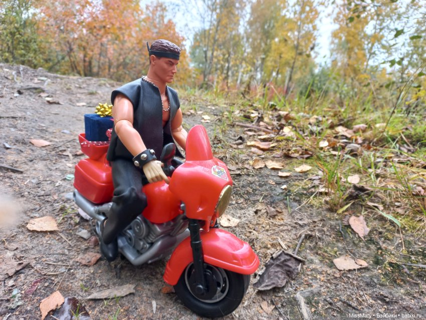 Байкеры — Разные шарнирные куклы (не БЖД): редкие (фото 8)
