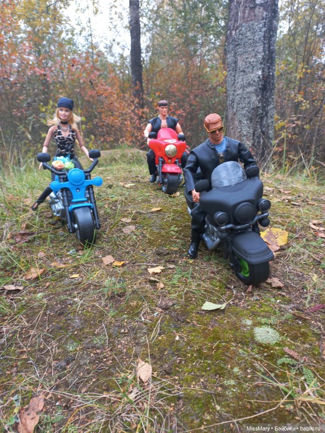 Байкеры — Разные шарнирные куклы (не БЖД): редкие