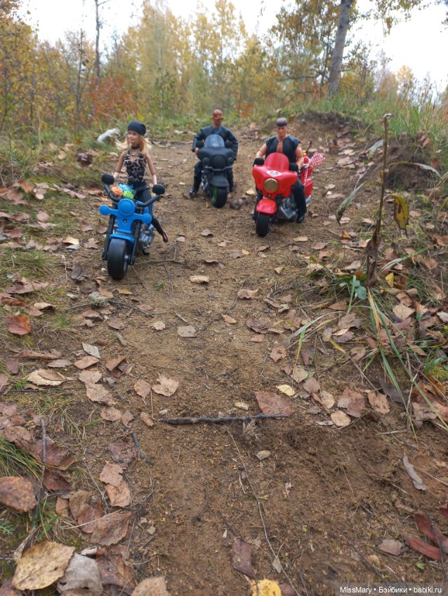 Байкеры — Разные шарнирные куклы (не БЖД): редкие