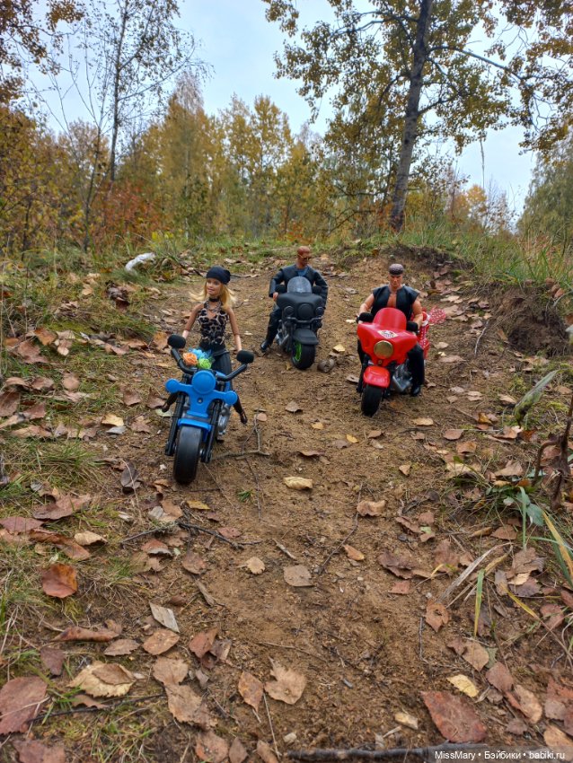 Байкеры — Разные шарнирные куклы (не БЖД): редкие