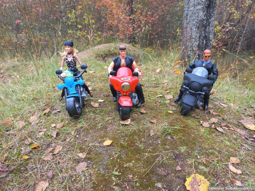 Байкеры — Разные шарнирные куклы (не БЖД): редкие