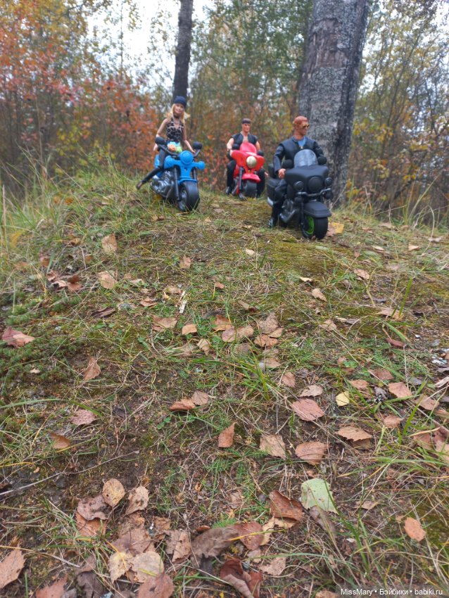 Байкеры — Разные шарнирные куклы (не БЖД): редкие