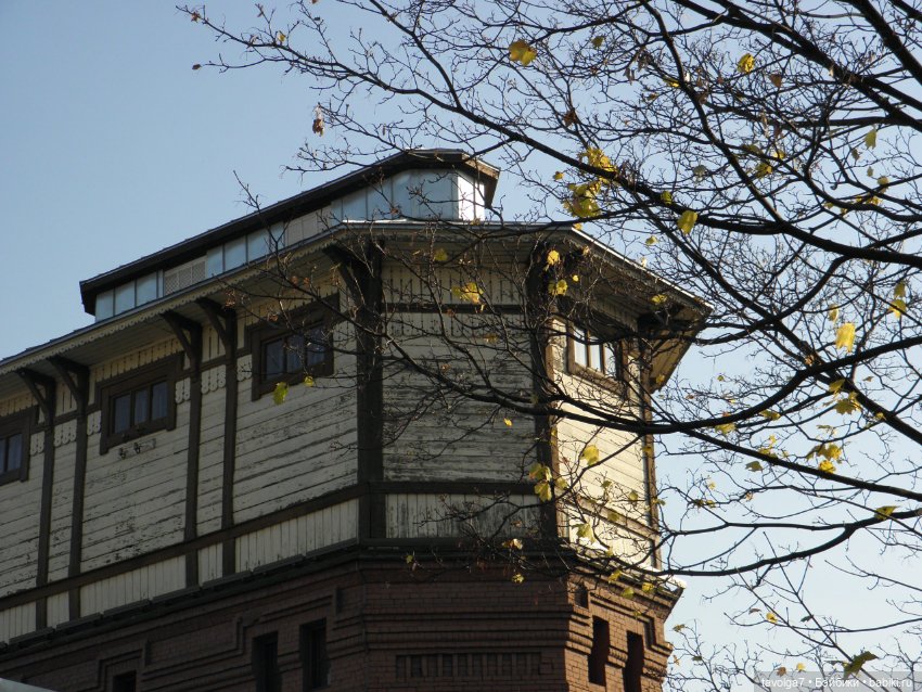 Maudlynne Macabre от Tonner и музей Платформа Подмосковная