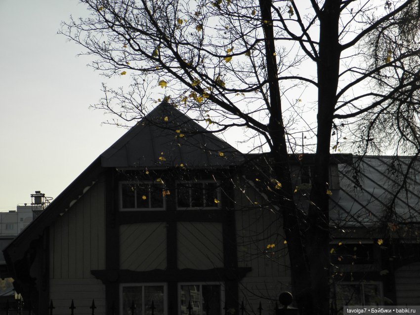 Maudlynne Macabre от Tonner и музей Платформа Подмосковная