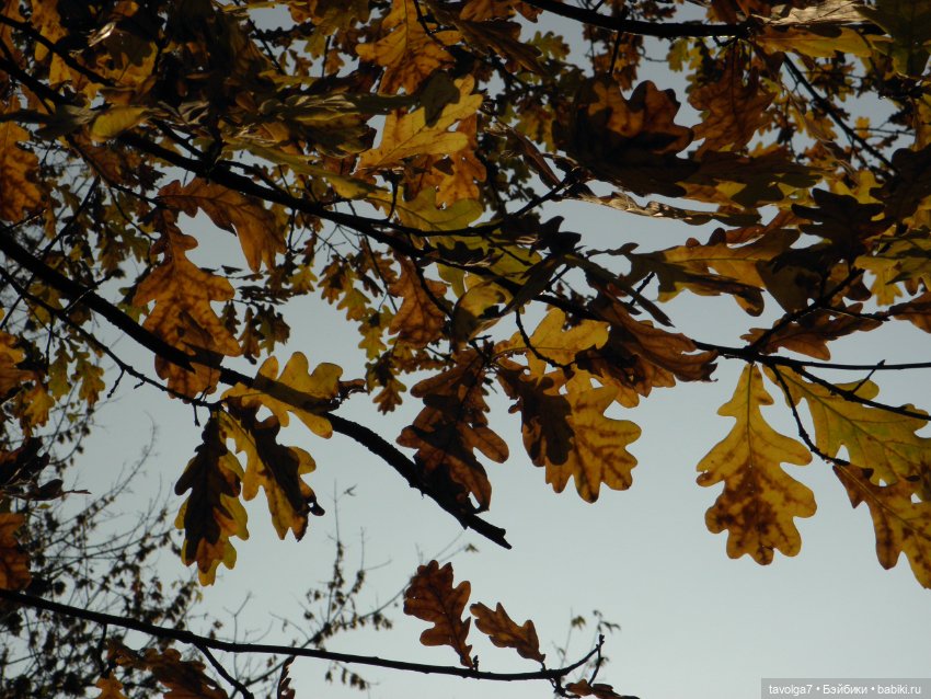 Maudlynne Macabre от Tonner и музей Платформа Подмосковная