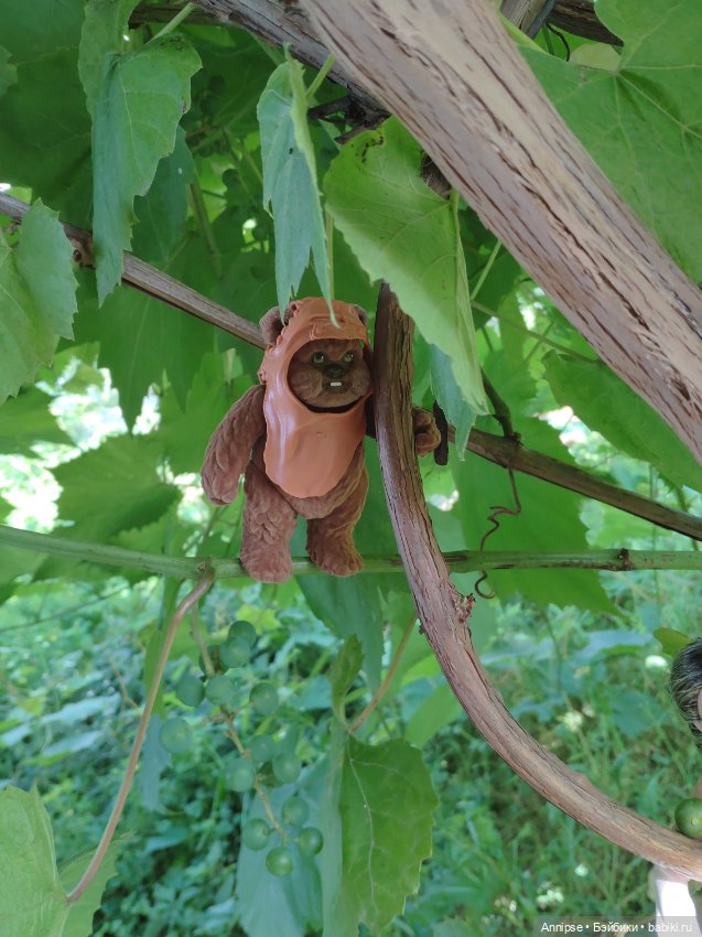 Принцесса Лея — Гибриды шарнирных кукол (не БЖД): подбор тела (фото 8)