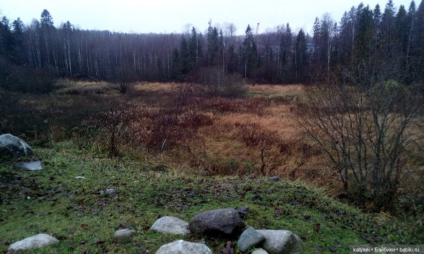 Без листиков (Сальмо) — Коллекционные игрушки и фигурки: Lego