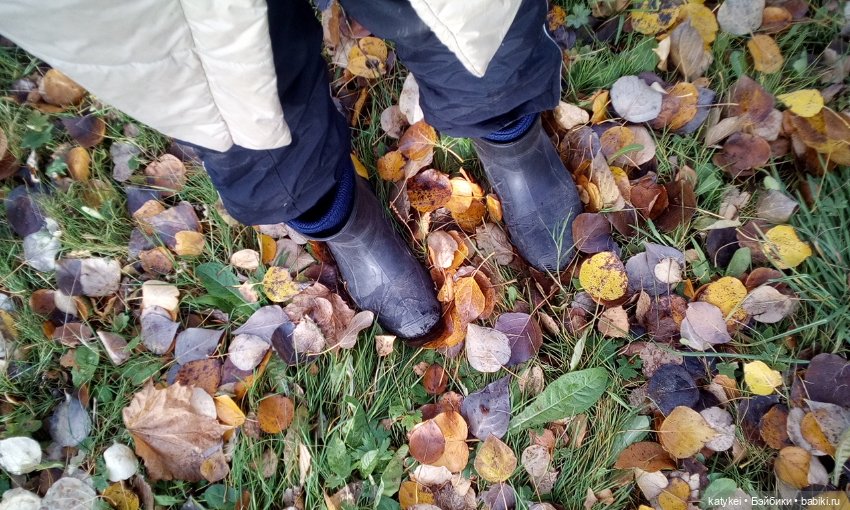 Без листиков (Сальмо) — Коллекционные игрушки и фигурки: Lego