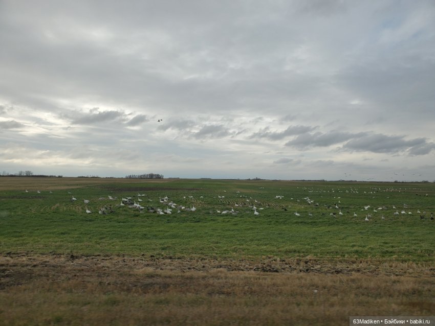 Eще раз про любовь... к LORI