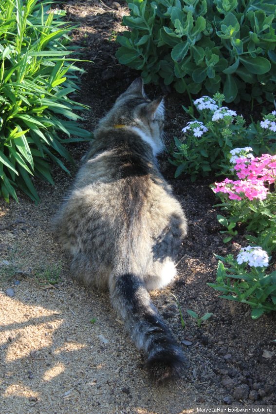 Фея в саду. Часть 1 — Игровые мини (фото 4)