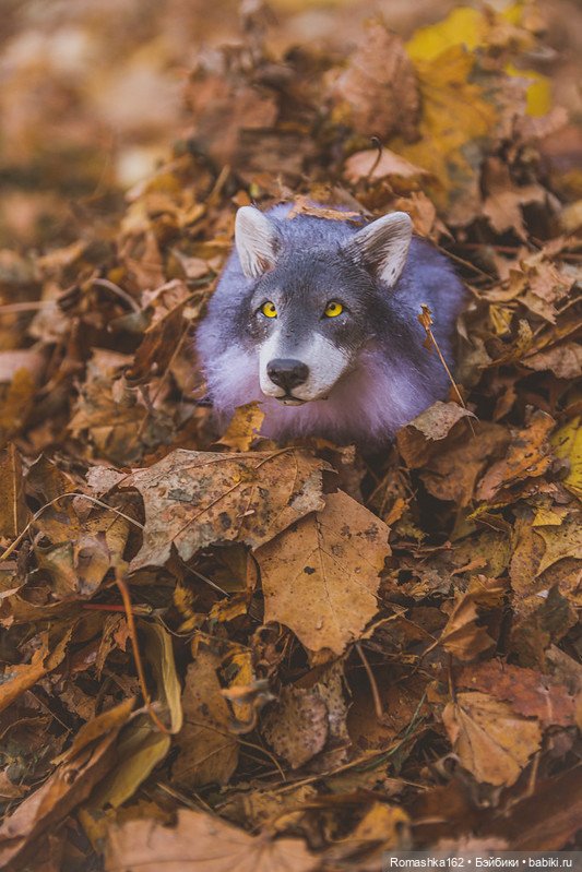 Немного теплой осени — Куклы La Legende De Temps (LLT): BJD (БЖД) (фото 9)