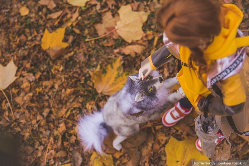 Немного теплой осени — Куклы La Legende De Temps (LLT): BJD (БЖД) (фото 10)