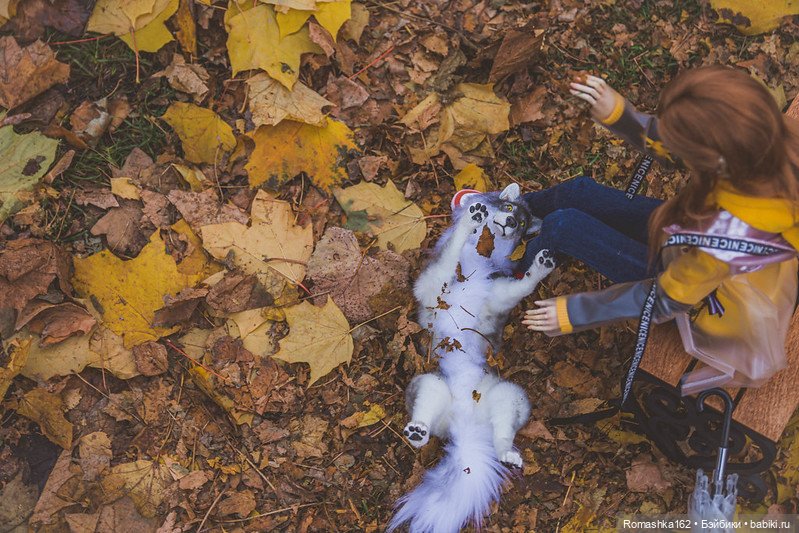 Немного теплой осени — Куклы La Legende De Temps (LLT): BJD (БЖД) (фото 6)