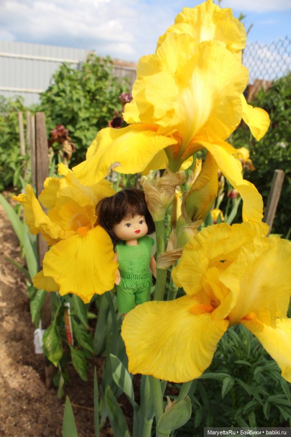 Фея в саду. Часть 2 — Игровые мини