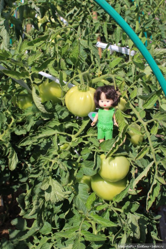 Фея в саду. Часть 3 — Игровые мини