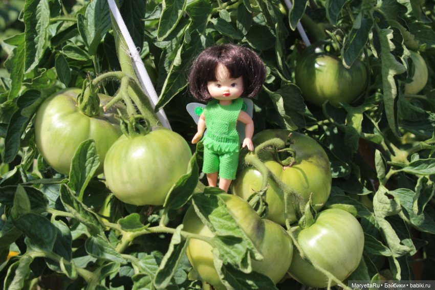 Фея в саду. Часть 3 — Игровые мини