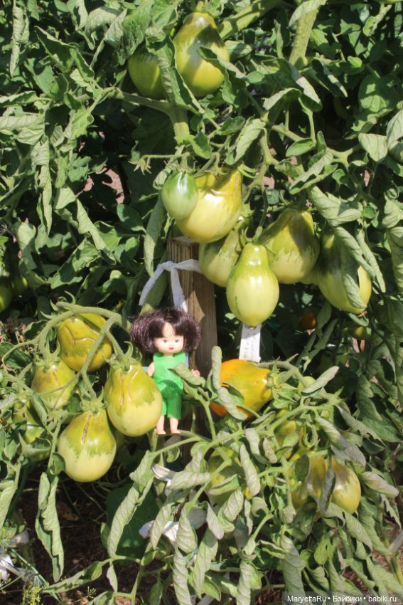 Фея в саду. Часть 3 — Игровые мини