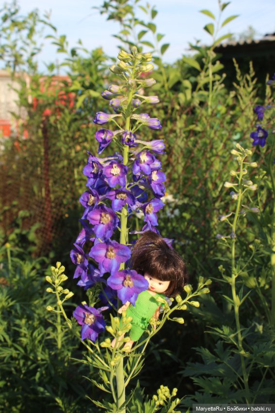 Фея в саду. Часть 2 — Игровые мини