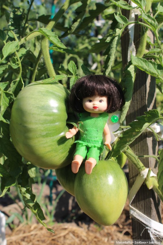 Фея в саду. Часть 3 — Игровые мини (фото 10)