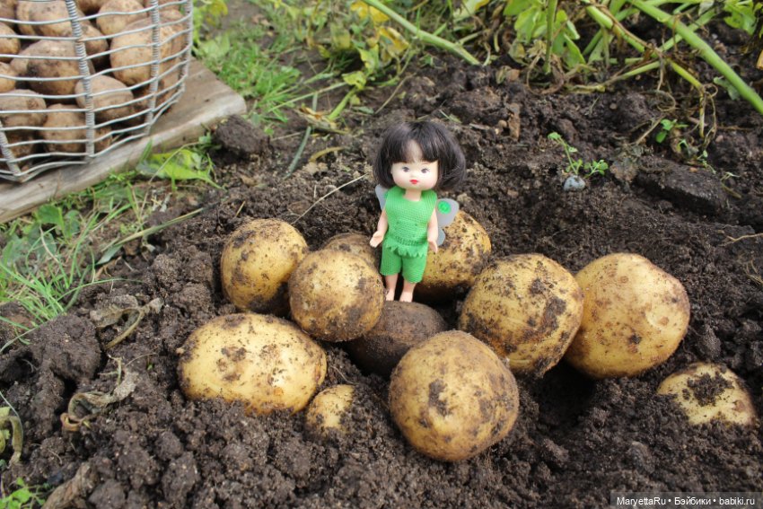 Фея в саду. Часть 3 — Игровые мини (фото 2)