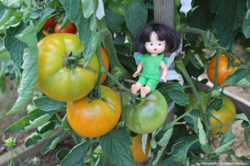 Фея в саду. Часть 3 — Игровые мини