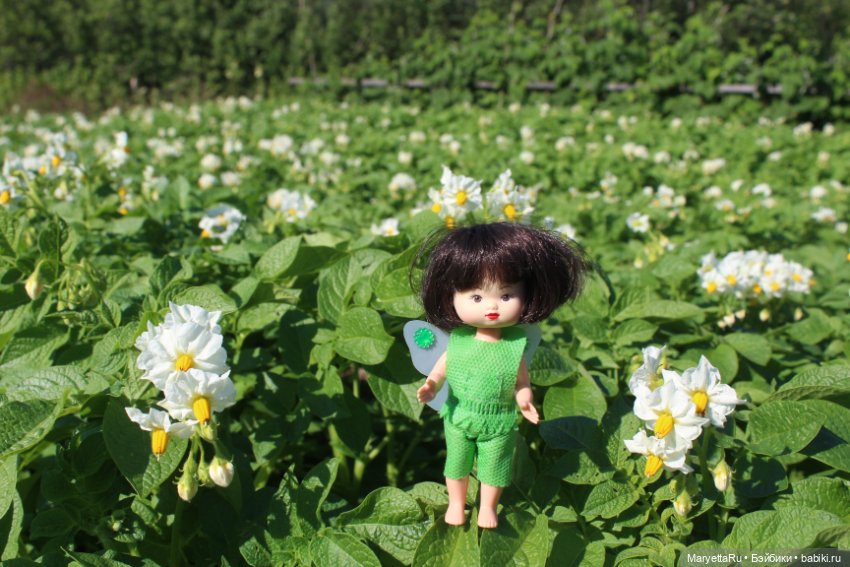 Фея в саду. Часть 3 — Игровые мини