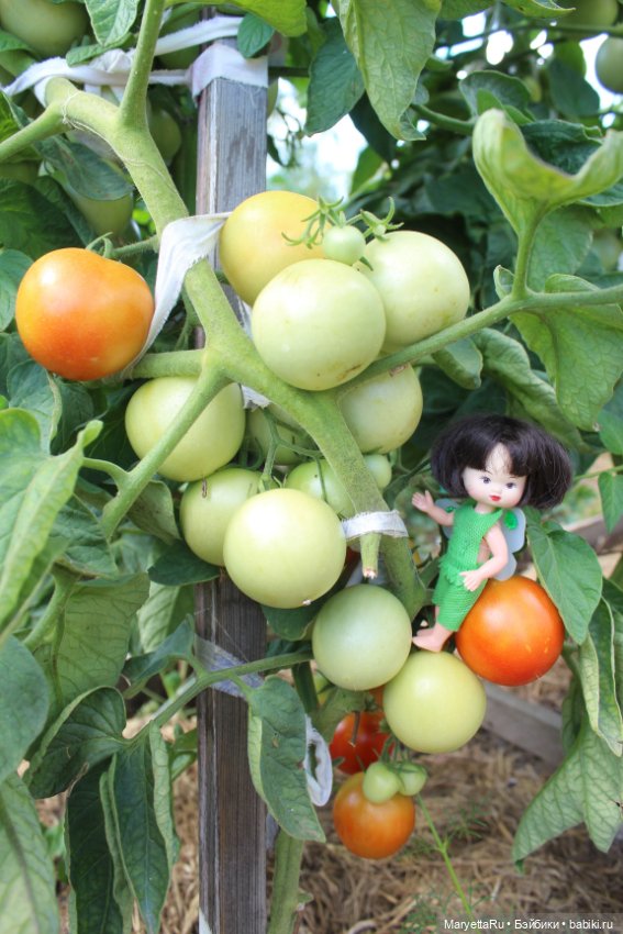 Фея в саду. Часть 3 — Игровые мини