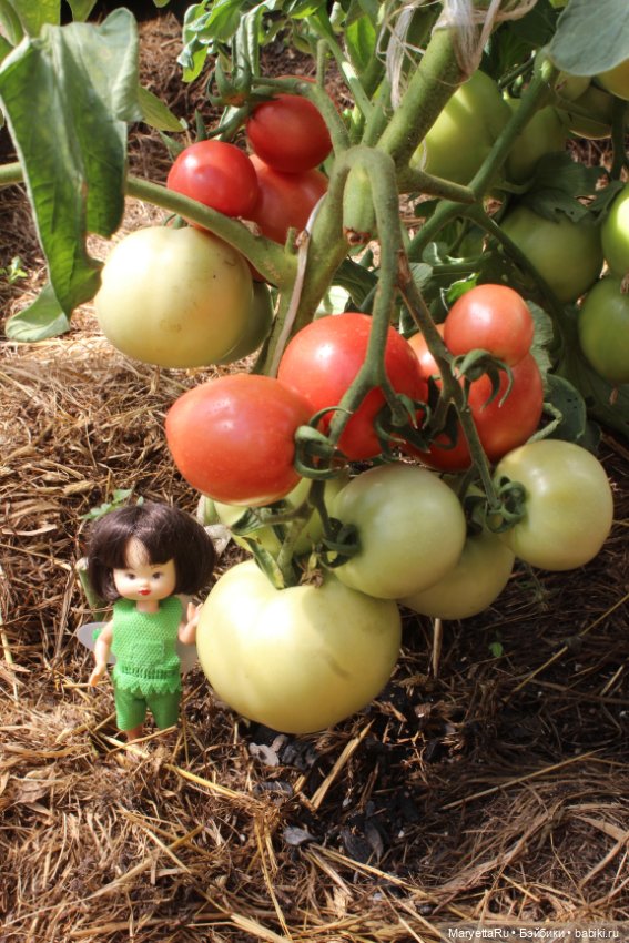 Фея в саду. Часть 3 — Игровые мини