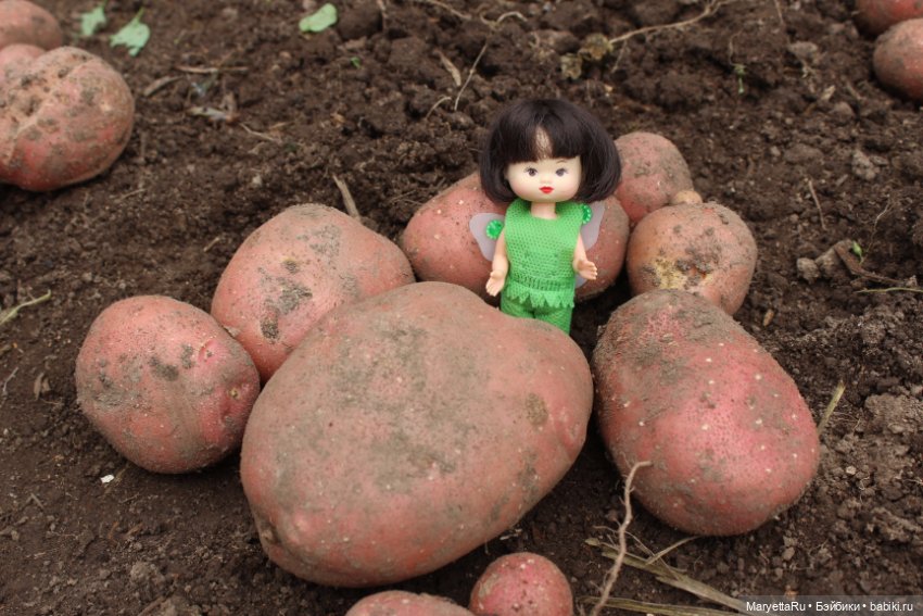 Фея в саду. Часть 3 — Игровые мини (фото 3)